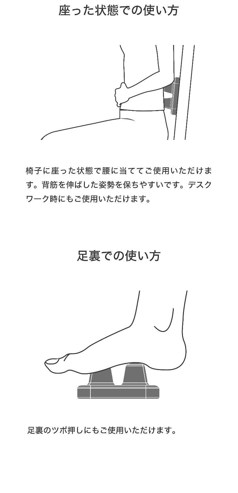 抗酸化作用研究 第一人者「犬房春彦」監修